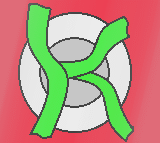 kamans1a.com